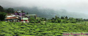 Darjeeling Pictures