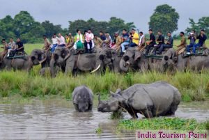 Kaziranga National Park Rhinos And Elephant Images