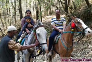 Nainital Tourism Horse Riding Images