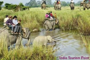 Assam Tourism Stills