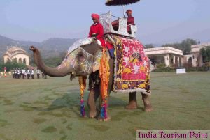 Elephant Safari Tour and Tourism Images