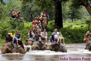 Elephant Safari Tourism Image