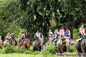 Elephant Safari Tourism Image Gallery