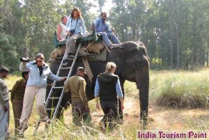 Elephant Safari Tourism Photo