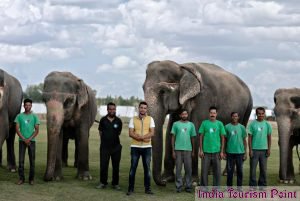 Elephant Safari Tourism Photo Gallery