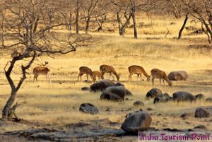 Madhya Pradesh Tourism Pics