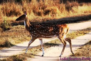 Madhya Pradesh Tourism Stills