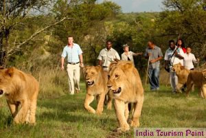 Mauritius Tourism and Tour Photo