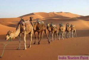 Rajasthan Tour and Tourism Wallpapers