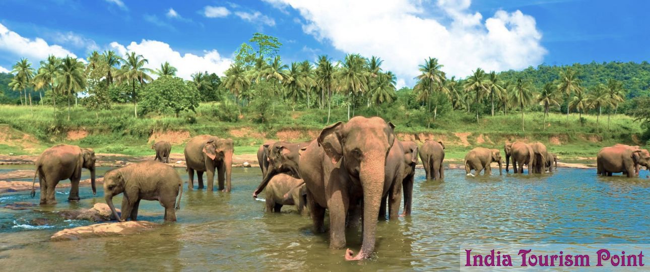 Sri Lanka Tourism Stills