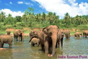 Sri Lanka Tourism Stills